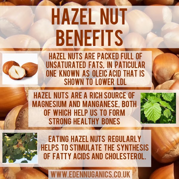 Eden Nuganics Blog Health benefits of hazel nuts