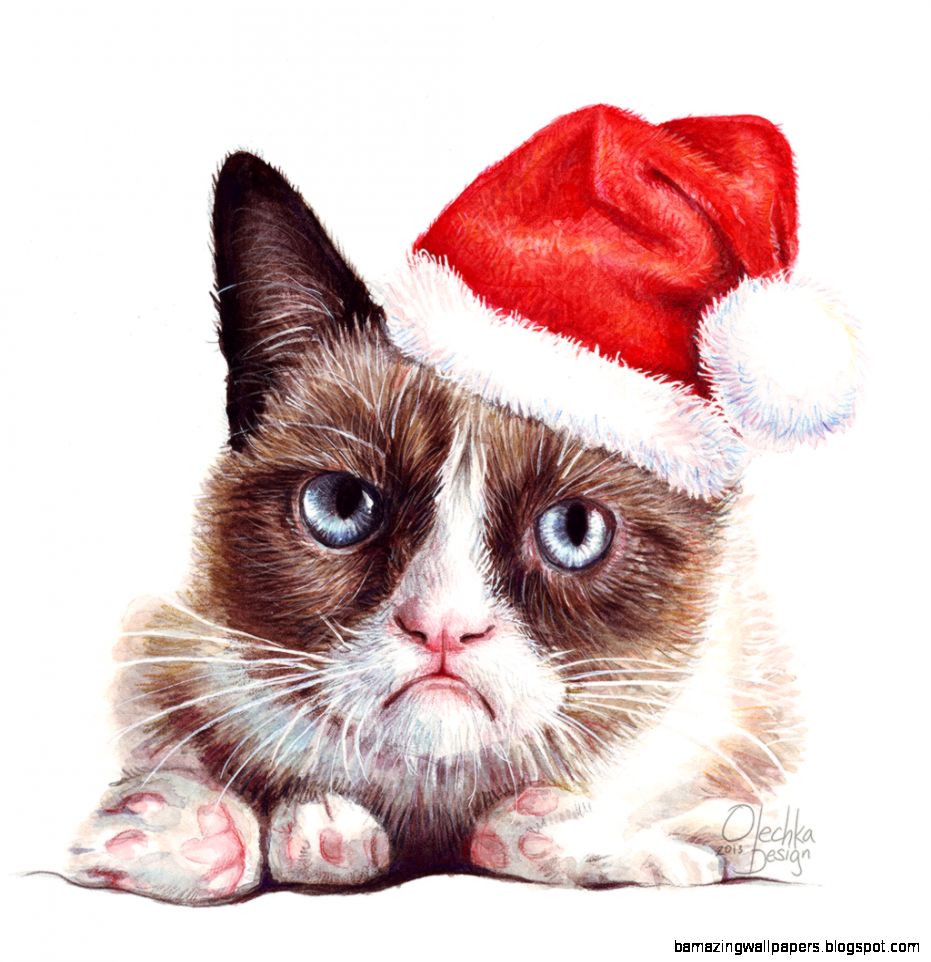Grumpy Cat as Grumpy Santa Flickr Photo Sharing Grumpy Cat as Grumpy Santa Flickr Photo Sharing