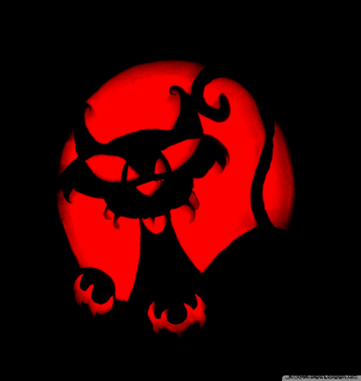 Happy Halloween Cat Pumpkin Carving HD desktop wallpaper High Happy Halloween Cat Pumpkin Carving HD desktop wallpaper High