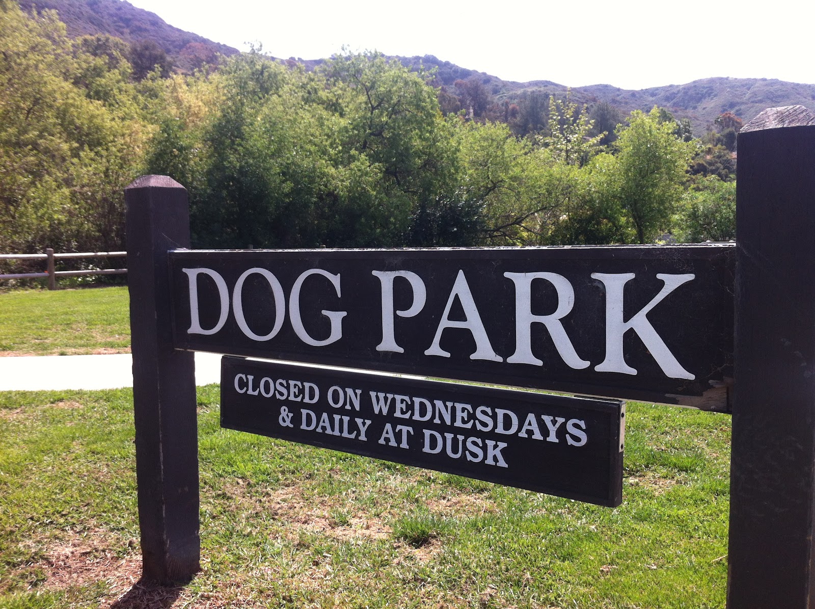 The Official Laguna Beach Blog Laguna Beach Dog Park