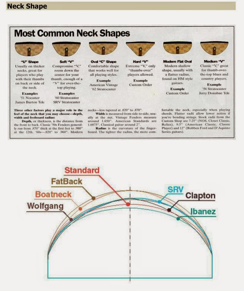 Fender Neck Profile Chart