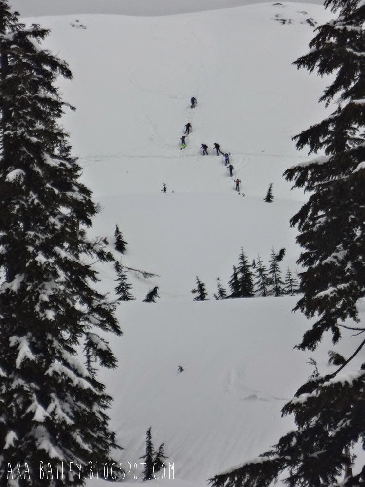 Climbers ascending Mt. Seymour in North Vancouver