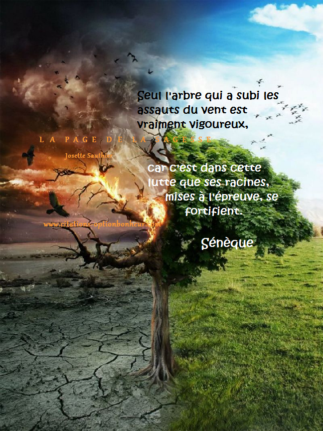 citations sur les rencontres