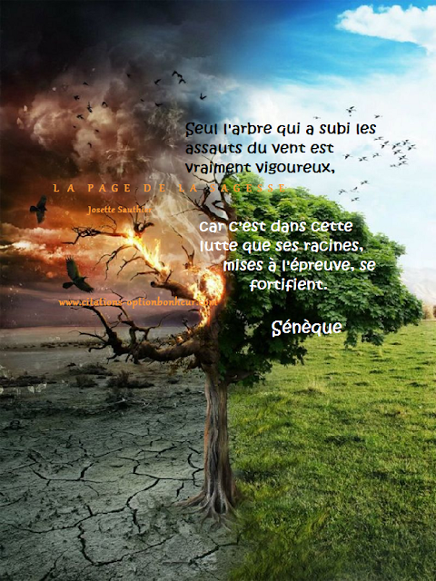 Les Panneaux Roses Citation De Seneque Sur La Force Interieure