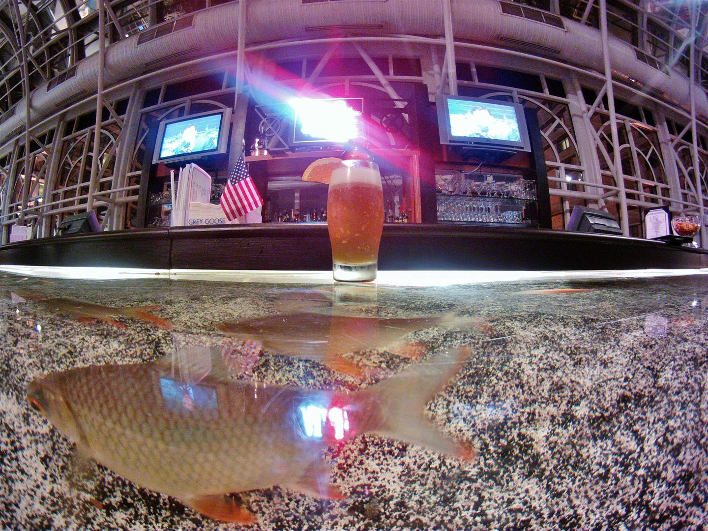 Countryside Food Rides The Big City (Louisville, KY)