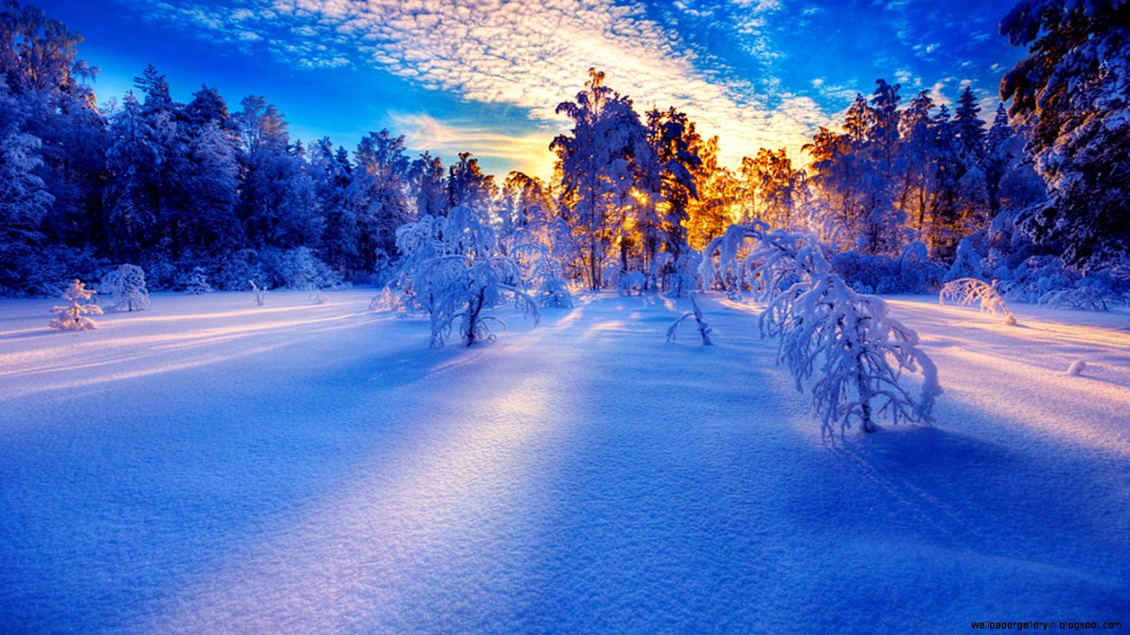Winter Sunrise Snow Winter Sunrise Snow