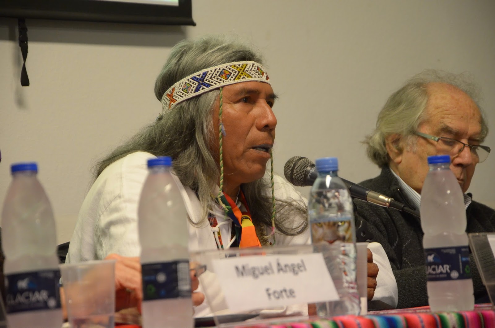 Diarios de un Principito El problema del indio