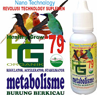 PRODUK BARU - HG-79 METABOLISME