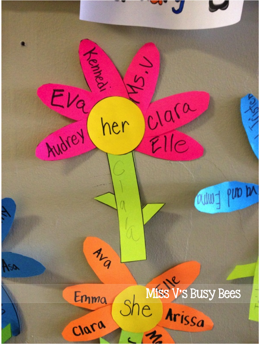 Miss V's Busy Bees Pronoun Flowers A Pronoun Activity