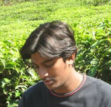 Punyagiri Waterfalls