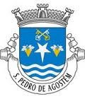 LOGOTIPO DA JUNTA DE FREGUESIA DE SÃO PEDRO DE AGOSTÉM