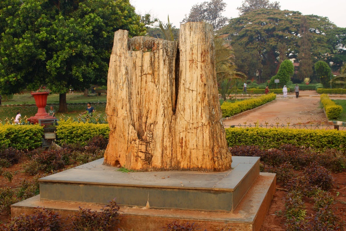 Journeys across Karnataka Tree Fossil at Lal Bagh, Bengaluru