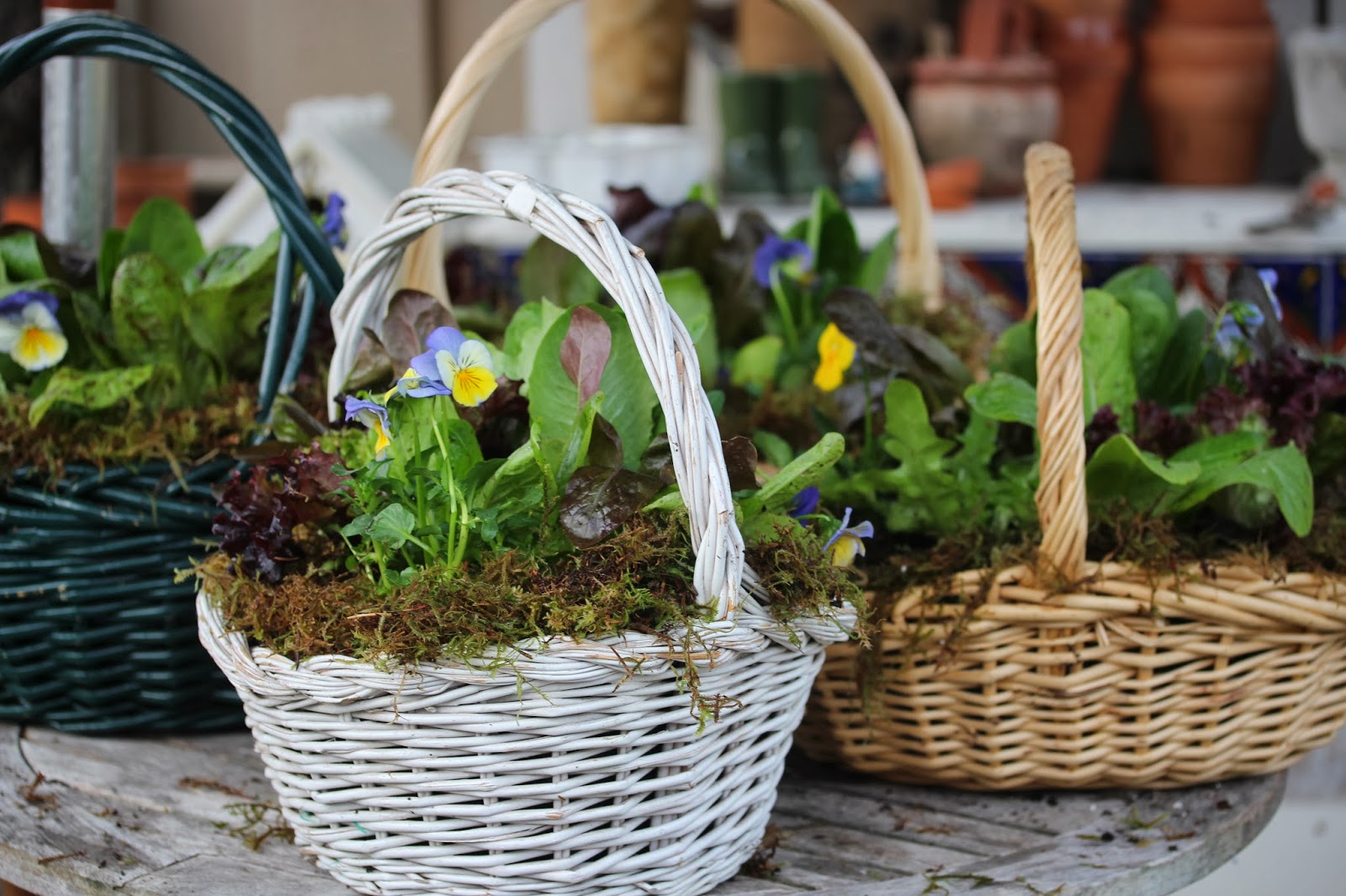 Rooted In Thyme Making Kitchen Garden Salad Baskets For Friends