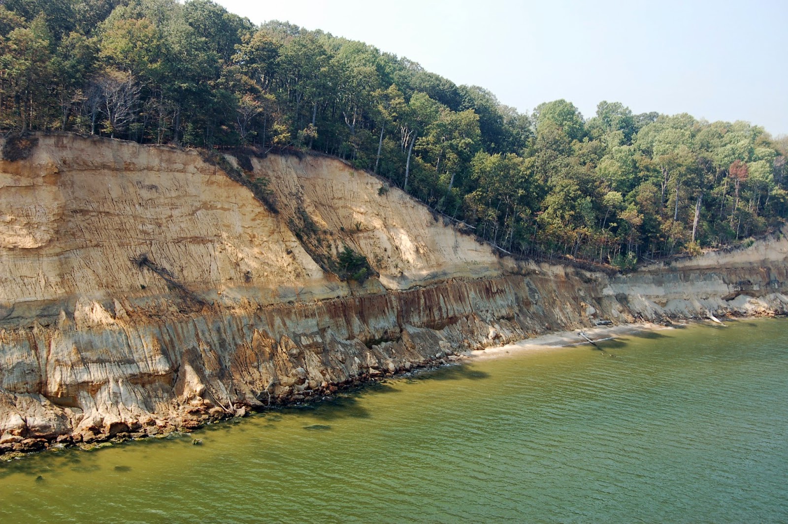 Written In Stone...seen through my lens A Visit to the Miocene Sea at