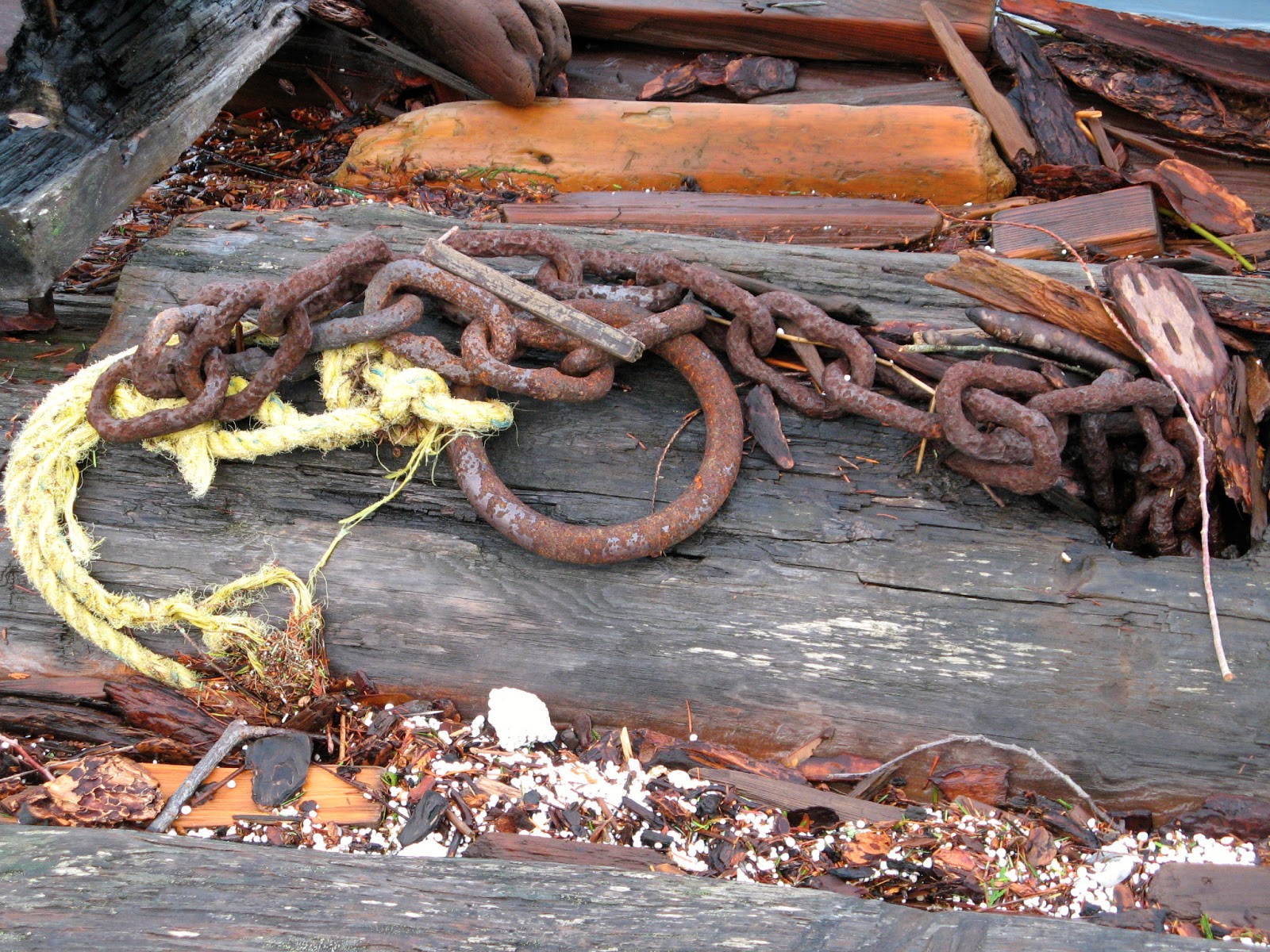 Powell River Books Blog Log Booms