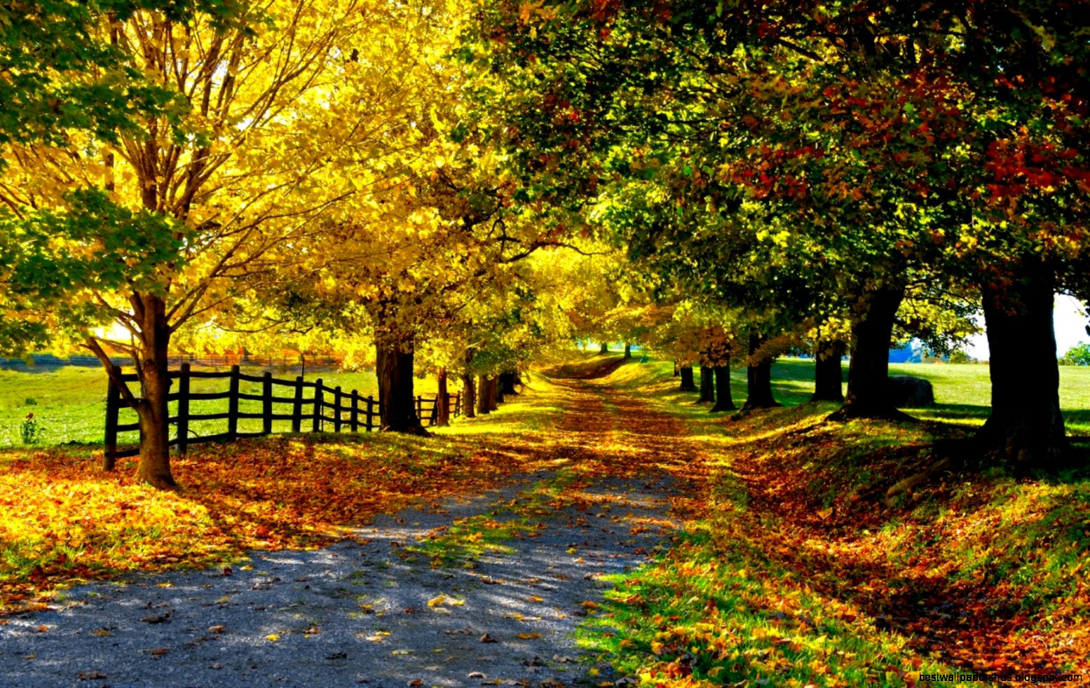 Download free wallpapers here we have a large selection for you Download free wallpapers here we have a large selection for you