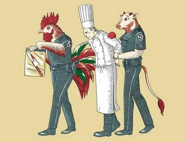 Animais a comportarem-se como os humanos Animais a comportarem-se como os humanos