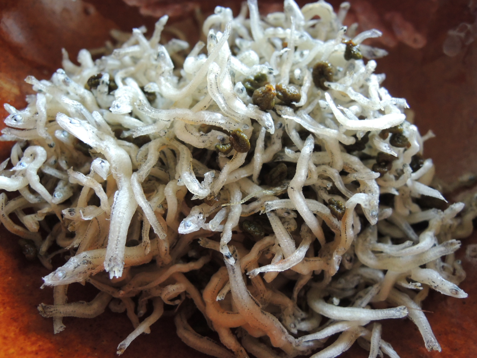 料理と食べ物の話 実山椒 葉山椒