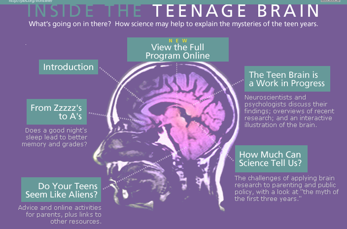 Teenage brain essay 07 image