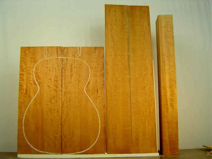 Atoragon's Guitar Nerding Blog WOODS FOR GUITAR AND BASS (a guide for