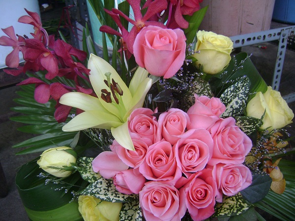 [Image: tang-hoa-cho-me-20_10-3.jpg]