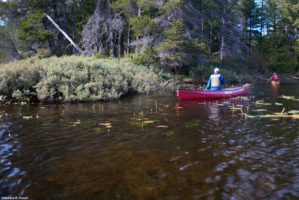 100 Lakes on Vancouver Island Maple Lake