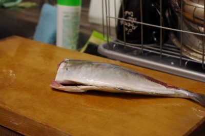 20110212-20110211_006.jpg