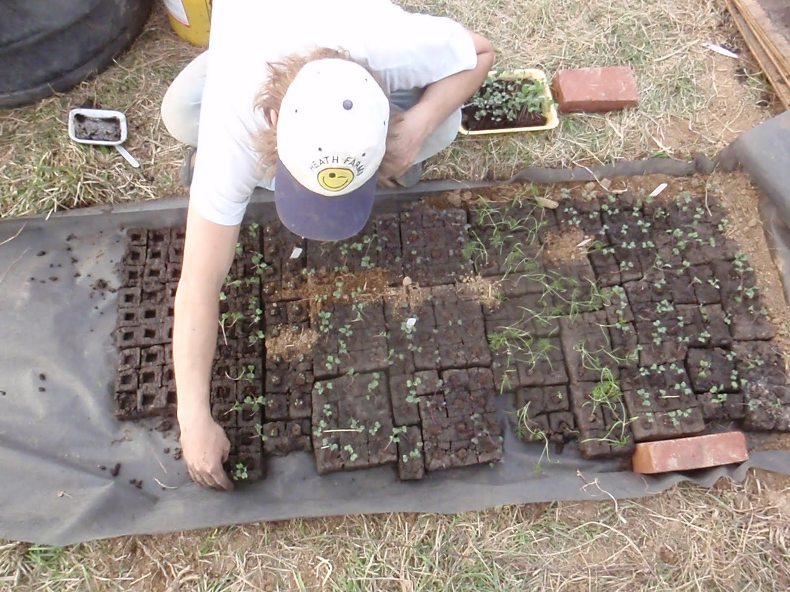 Growing West Virginia Grow Appalachia