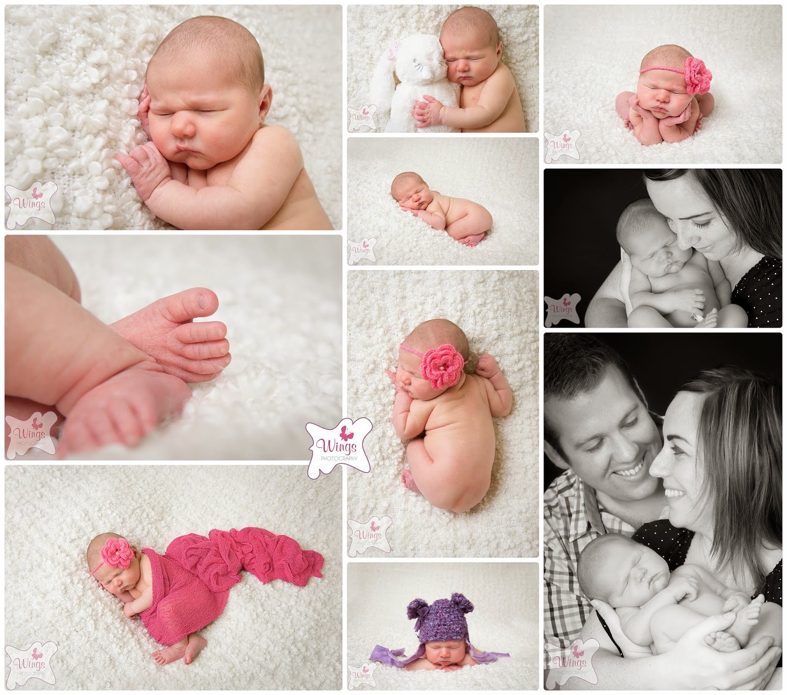 Wings Photography Willow Chesterfield Newborn Photography