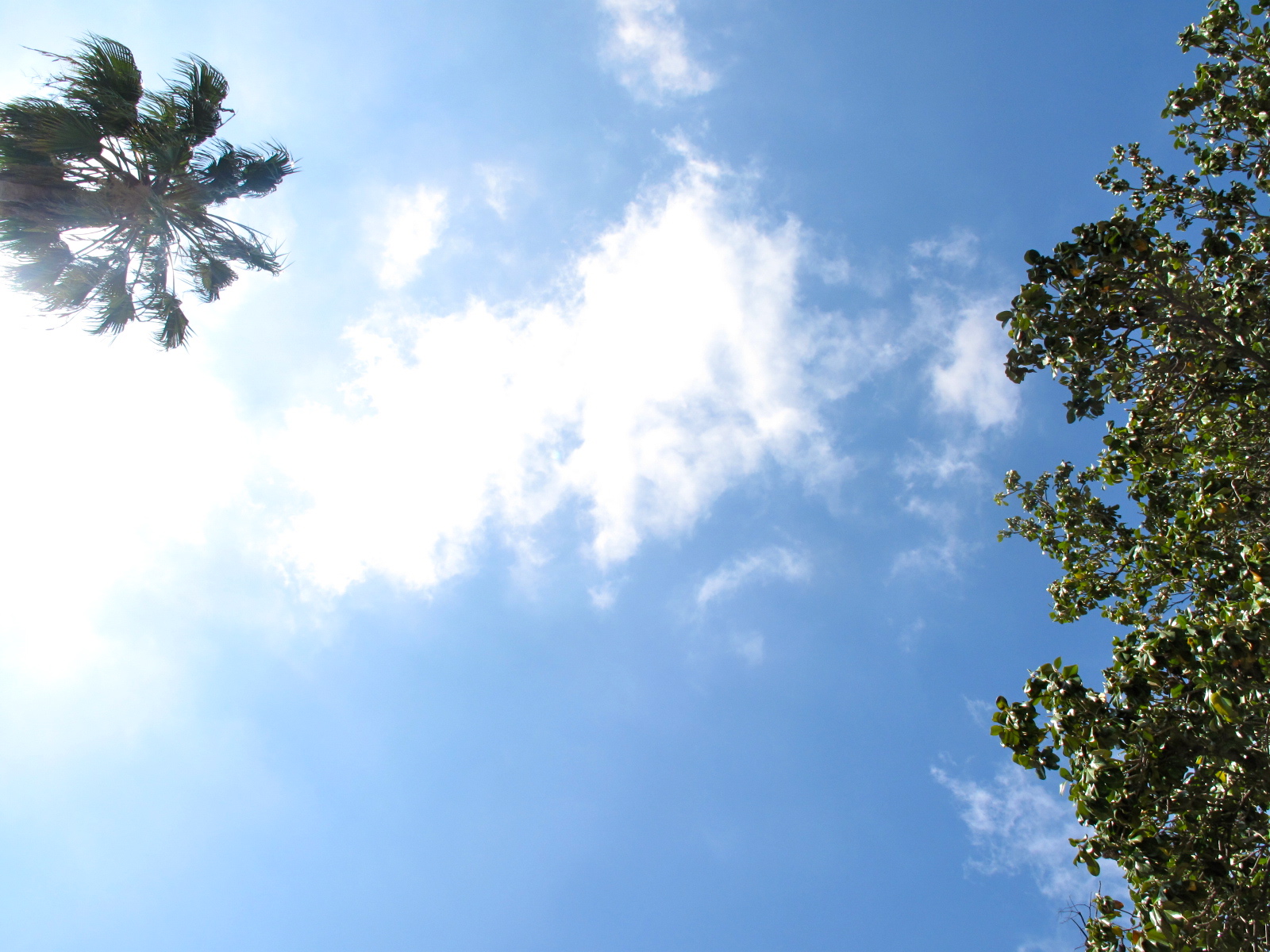 JACK at RANDOM DIY Reclaimed Wood, Raised Bed Garden