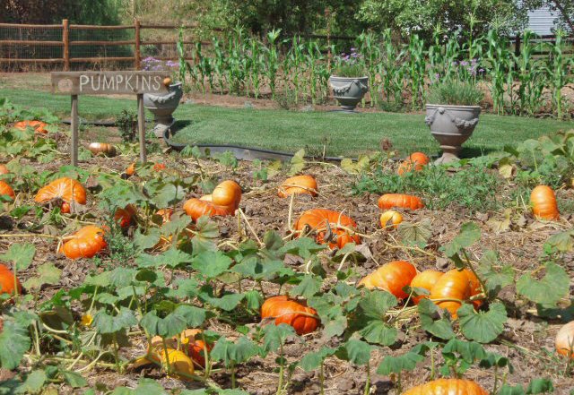 Summers Past Farms