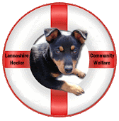 Lancashire Heeler Welfare Fund