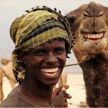 Approdo Sicuro Sorrisi Archeotweet 15 Seconda Parte