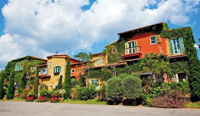 diseño de jardines con muros verdes de plantas enredaderas jardines verticales, muros verdes, greenwalls, diseño plantas enredaderas, foto 9