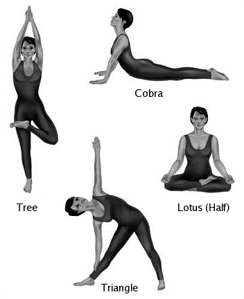 Yoga For Weight Loss For Beginners