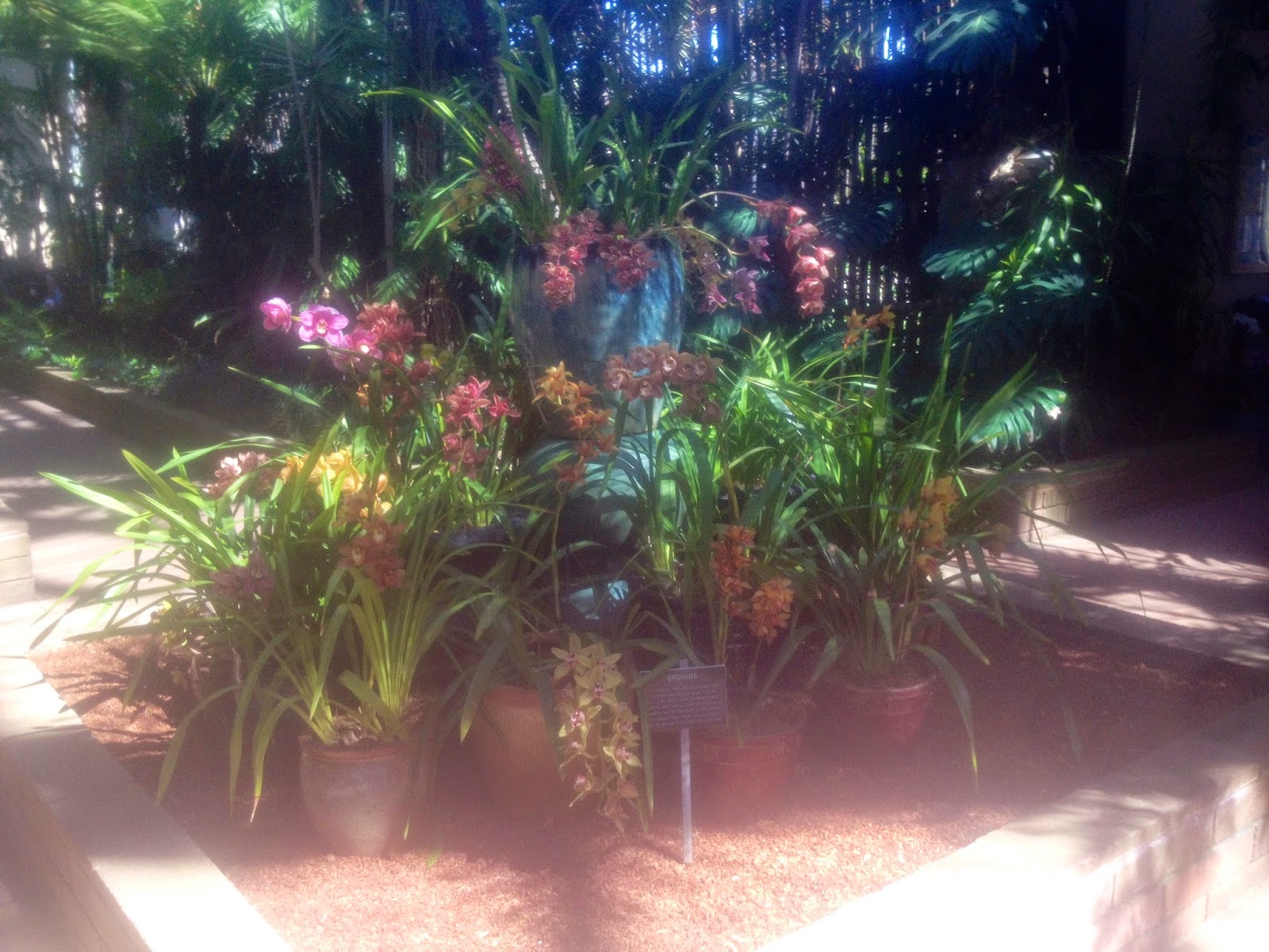 Utopische Traume Umschau Nach Einer Besseren Welt August 2018