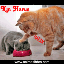 Https Encrypted Tbn0 Gstatic Com Images Q Tbn 3aand9gcrjdtl5r8eij7o0qgetnbcrefr7fv8y8of9da Usqp Cau