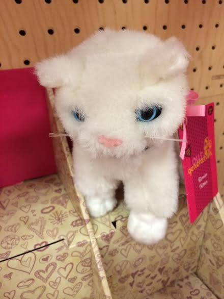 Karen Mom Of Three S Craft Blog A New Glaring Of Cats And A Pack Of Dogs Spotted At Target