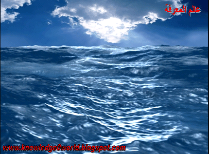 وحوش البحار العملاقة giant sea monsters عالم المعرفة