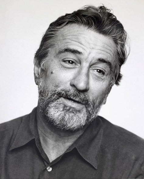 Collection of beard styles: Robert De Niro Beard Styles