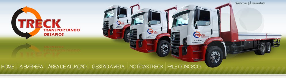 TRECK TRANSPORTANDO DESAFIOS (75)3224-2859