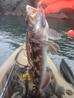 halibut fishing tackle