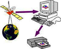 Components,Management,Information,System,MIS