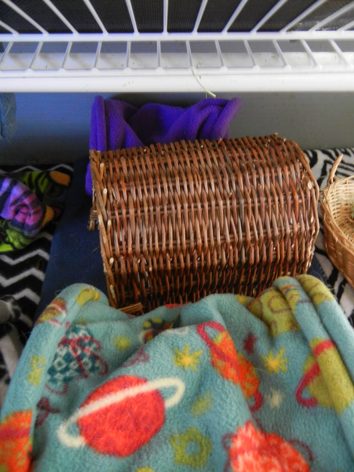 knottyness Guinea pig tunnels tutorial