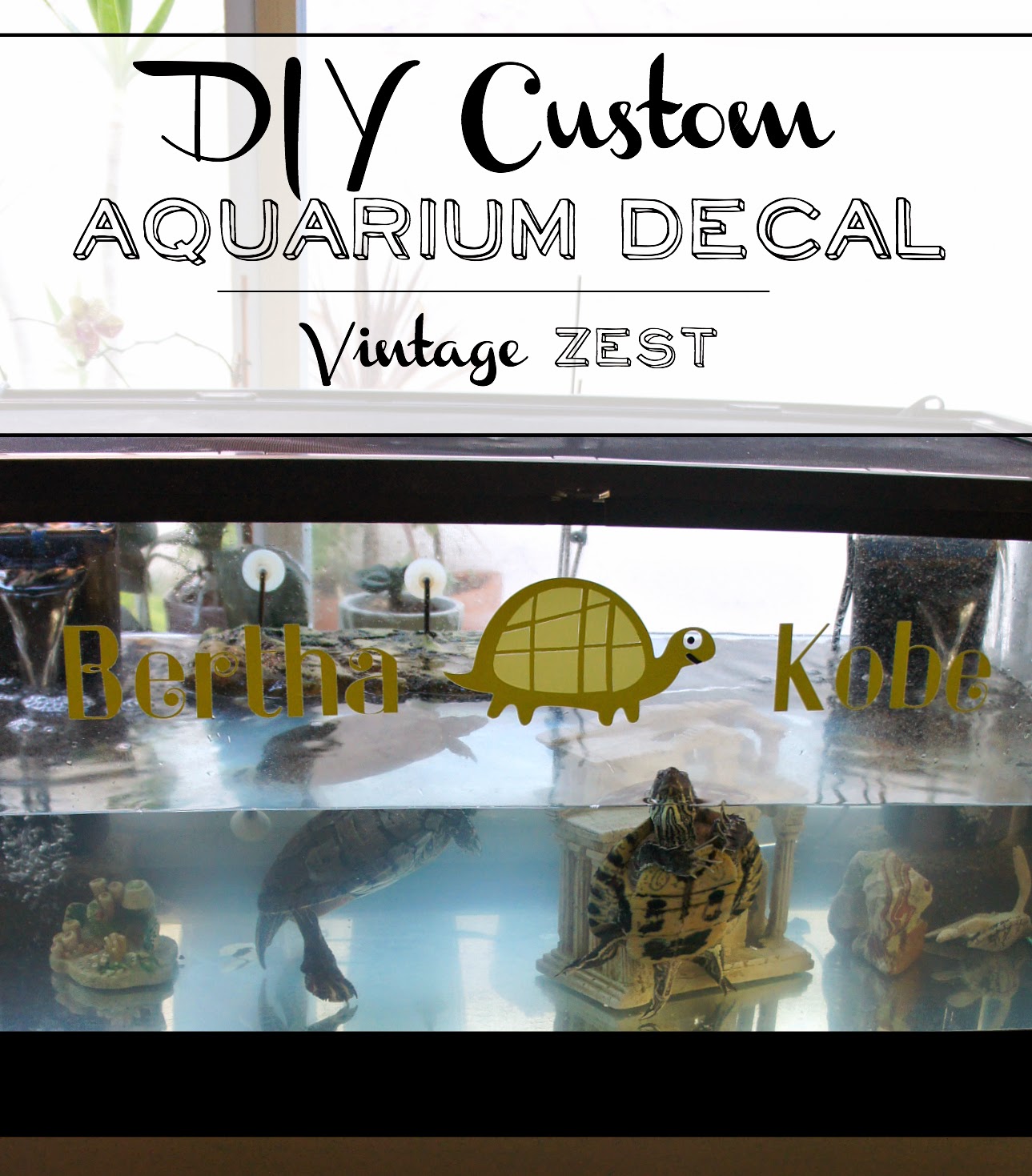 Custom Aquarium Decal on Diane's Vintage Zest!  #diy #craft #vinyl #pets