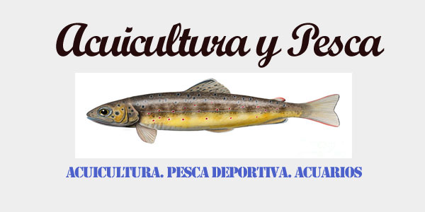 La Pesca