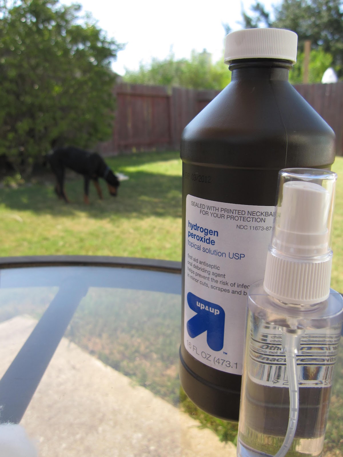 Adventures in Camping Tips & Tricks 2 Poison Ivy First Aid Kit