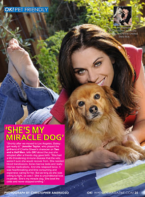 OK! PETS JENNIFER TAYLOR