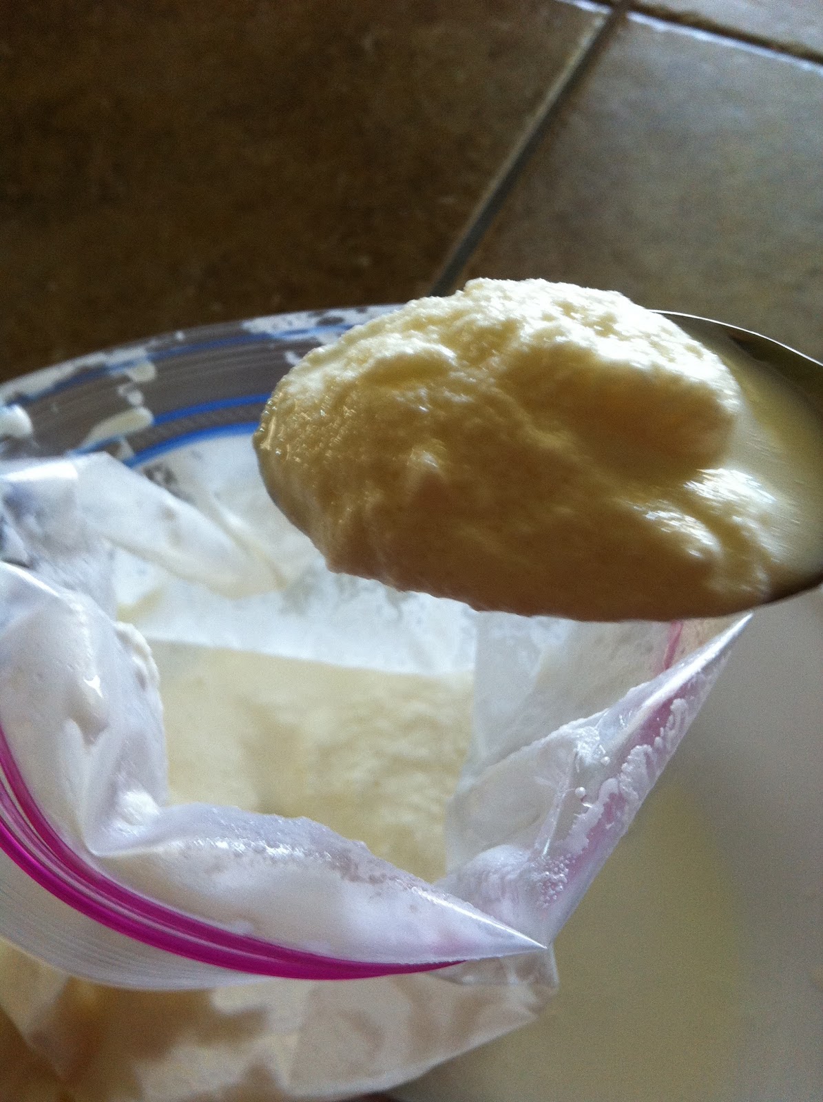 Cristy Crafty Sweet Summer Science Fun (Ziplock Bag Ice Cream)