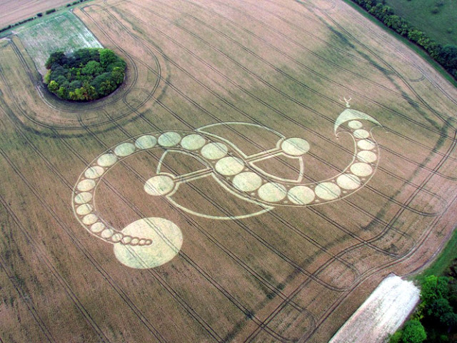 méthodes de création des crop circles... - Page 4 Inverted+S+Crop+Circle+West+Woodhay+Down,+Wiltshire+UK+29th+July+2011